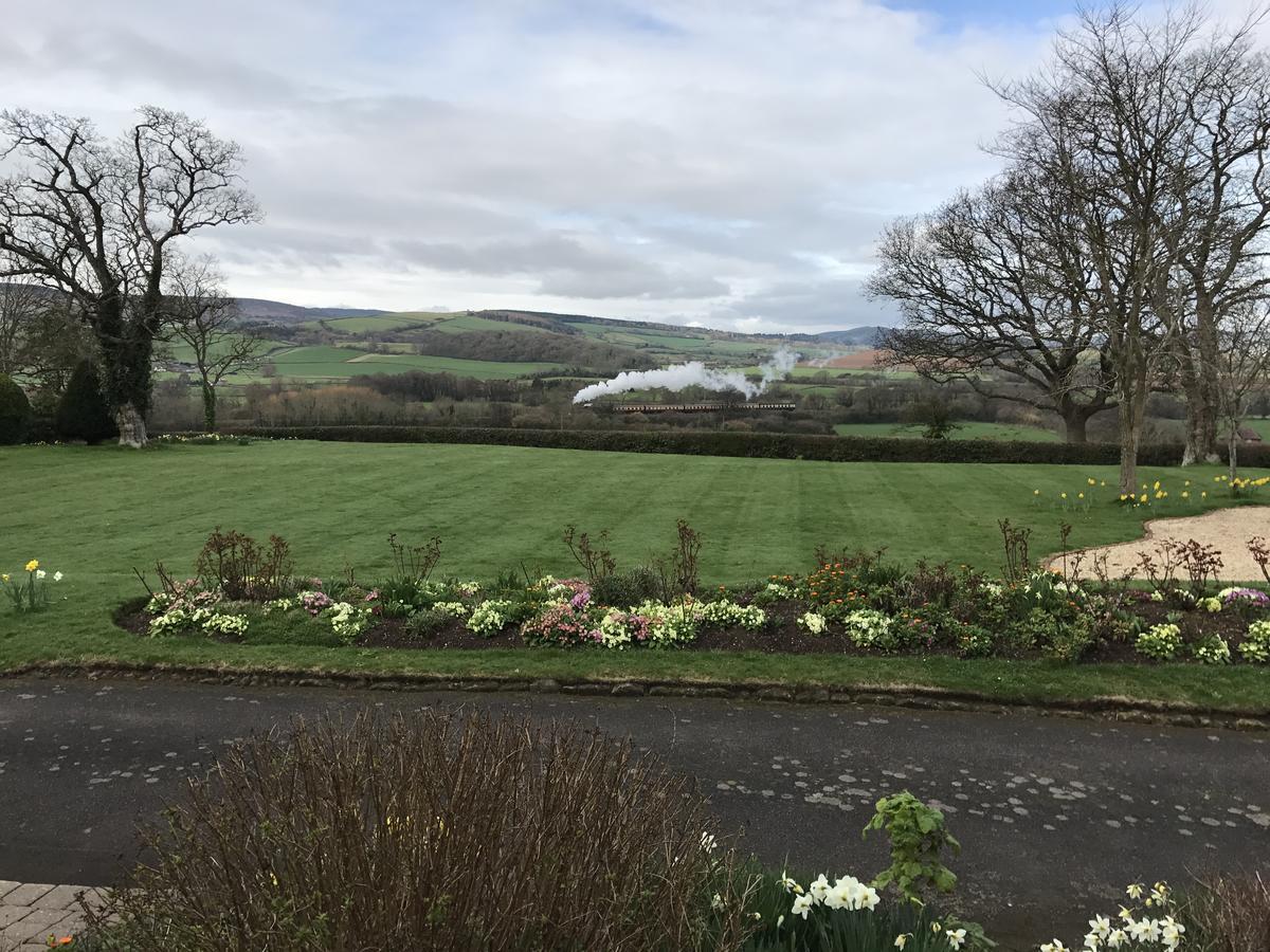 Cedar House Bed & Breakfast Minehead Dış mekan fotoğraf
