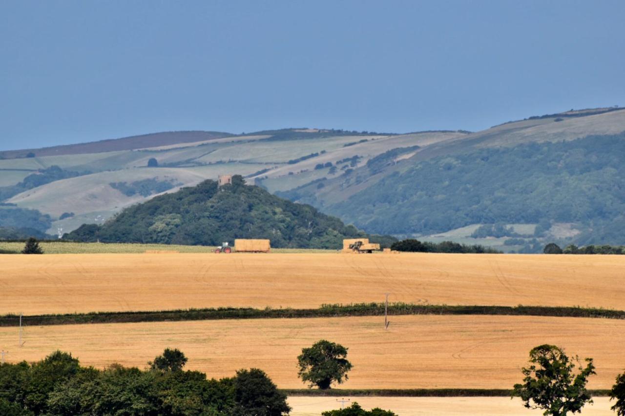 Cedar House Bed & Breakfast Minehead Dış mekan fotoğraf